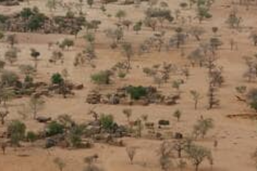 AFRIQUE2050 : La Grande muraille verte au Sahel, le défi humain le plus ambitieux de la planète