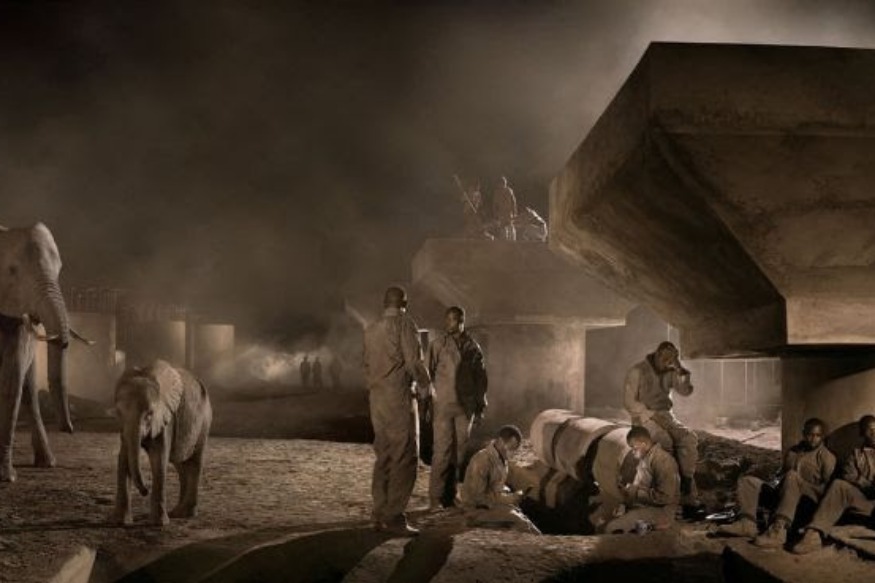 AFRIQUE2050 :  La conservation fait défaut aux collectivités qui partagent l’espace avec la faune