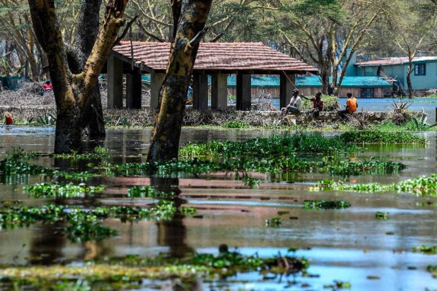 AFRIQUE2050 : Vert L’Afrique cherche 25 milliards de dollars pour l’adaptation au climat, la reprise verte