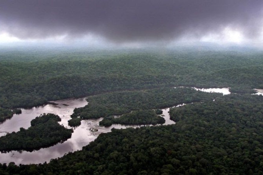 AFRIQUE2050 GABON : Le premier pays africain à recevoir un paiement pour la réduction des émissions de carbone