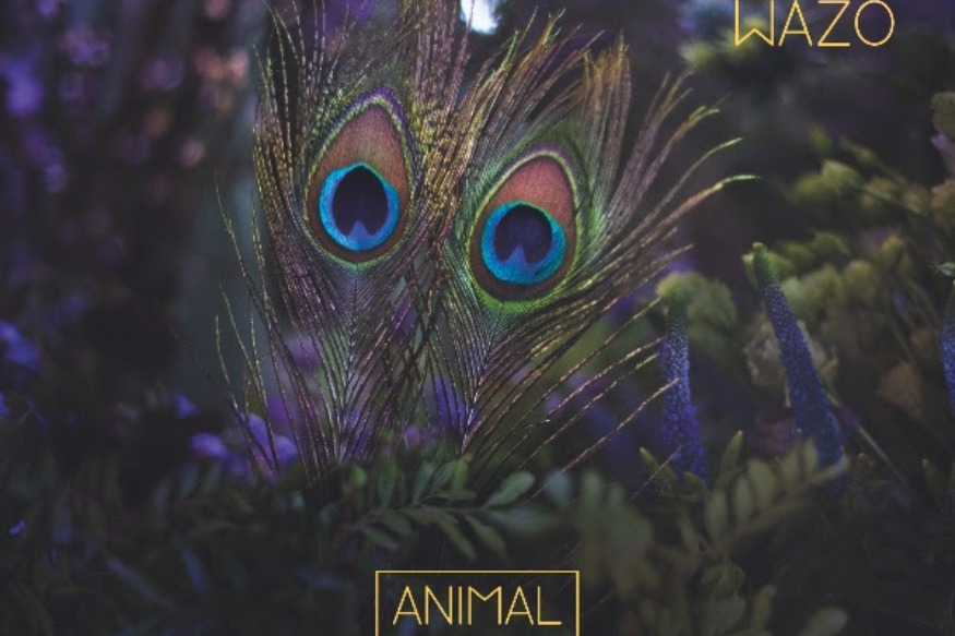 Communiqué de presse // Baba Wazo présente "Animal" au Studio de l'Ermitage 19/10/2021