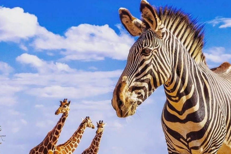 VOYAGE AFRIQUE & MONDE  : Pour aider un secteur du tourisme affaibli par la crise du Covid-19 destination selon le signe Zodiaque