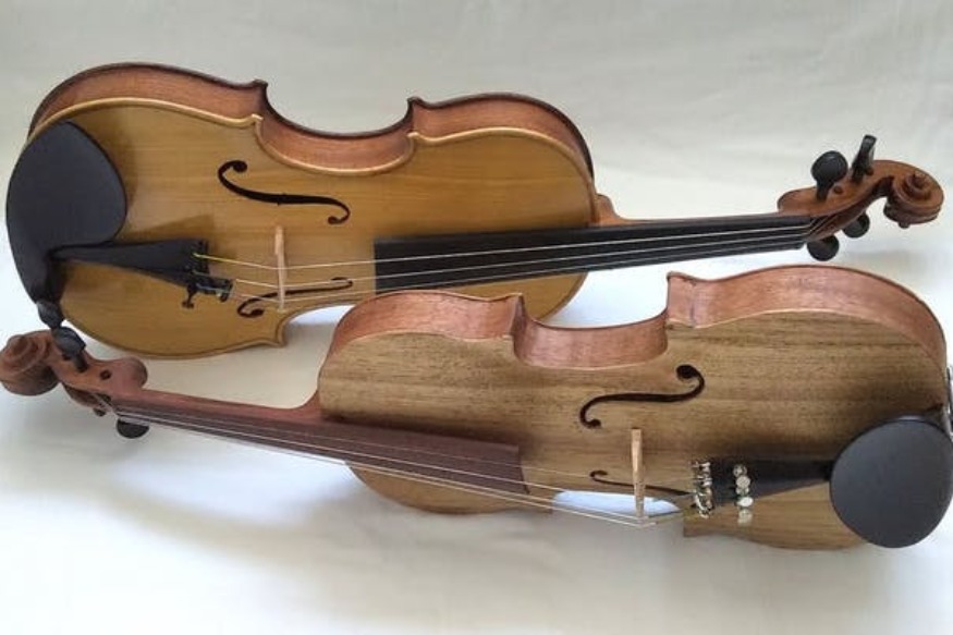 MUSIQUE :  Un violon africain ? Une nouvelle étude détermine quels bois locaux pourraient servir à sa fabrication
