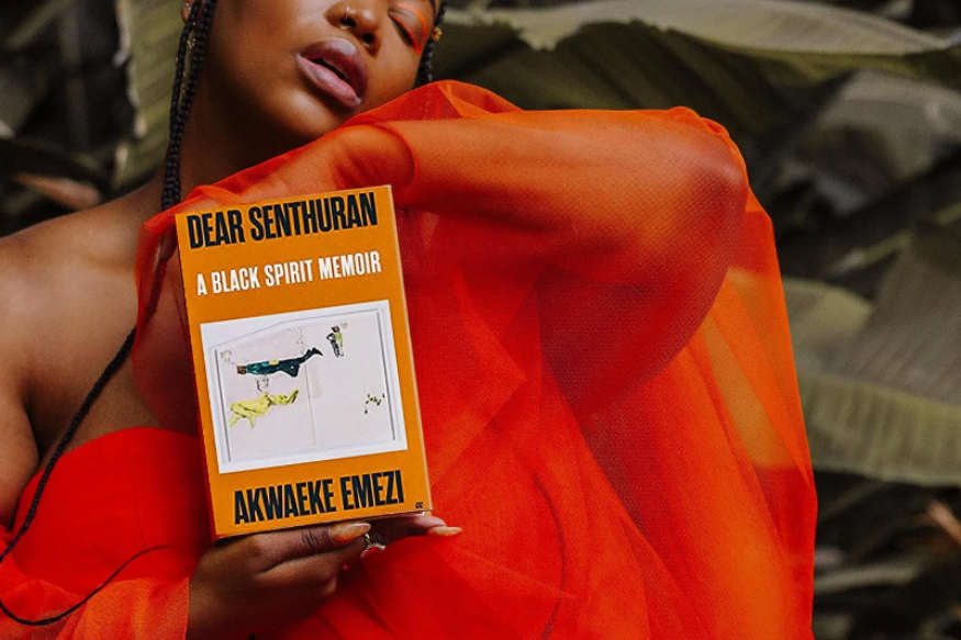 AFRIQUE2050 : Les libraires africains ménagent une place aux auteurs du continent