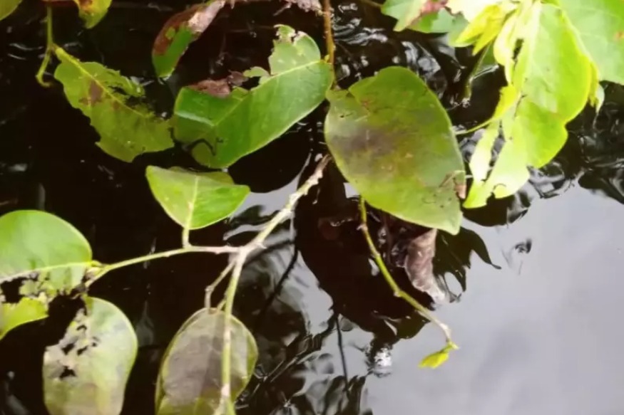 AFRIQUE2050 : Gabon – Fuite de 300 000 barils de pétrole brut de la société Perenco près de Port Gentil.