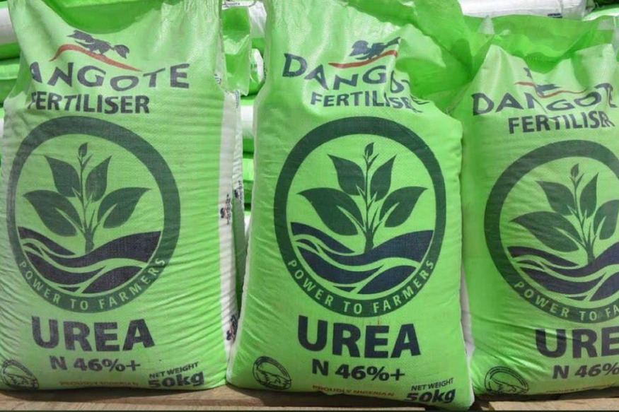 AFRIQUE2050 Engrais : La nouvelle entreprise de Dangote est arrivée au bon moment