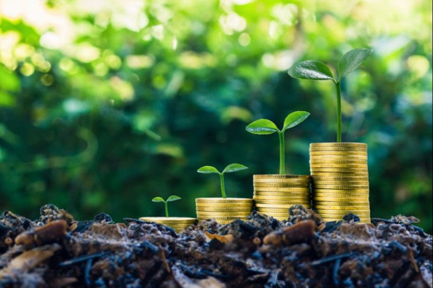 AFRIQUE2050 : Soutenir la croissance des obligations vertes africaines