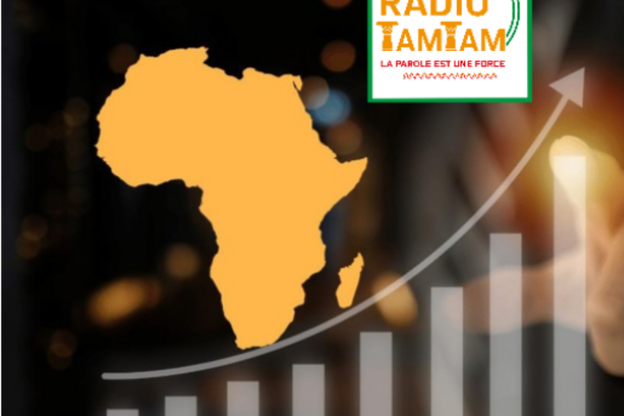 AFRIQUE2050 : Pour Investir en Afrique en 2022 le Guide complet vient de sortir