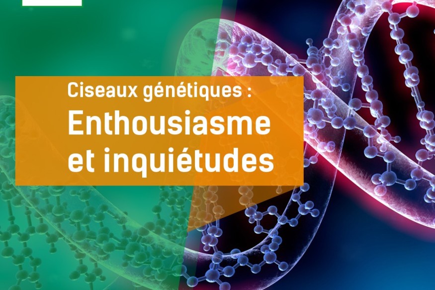 Les ciseaux génétiques : L'enthousiasme et les inquiétudes