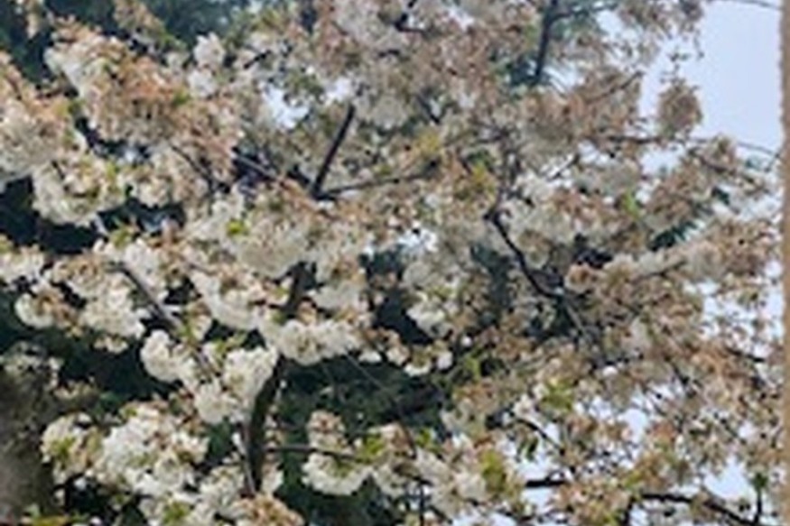 NOUVELLE SUR LA SANTE DE RADIOTAMTAM