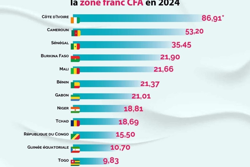 Classement des économies de la zone CFA en 2024 : le Gabon occupe la 3ème place sur la zone CEMAC