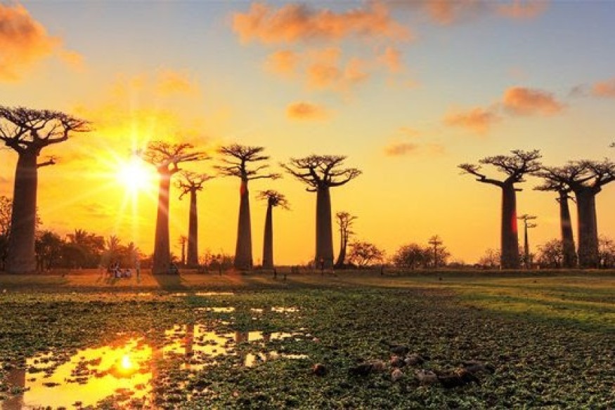 Voici le top 10 des pays africains les plus pacifiques