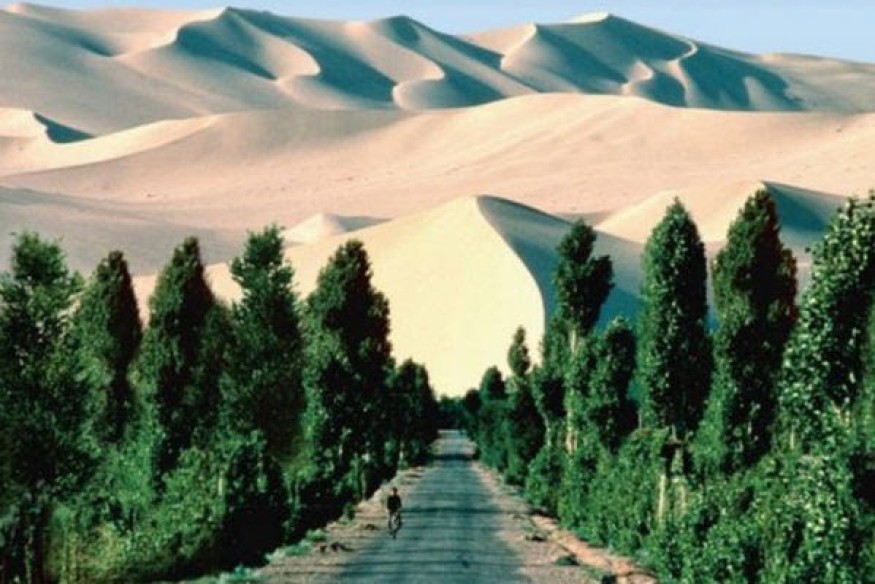 Rapport d’avancement sur la ceinture verte africaine