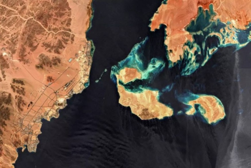 L'Égypte organise la 19e édition de la Foire du livre à la bibliothèque moderne d'Alexandrie.