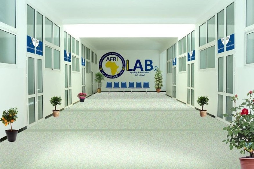 AfriLabs, le plus vaste réseau de hubs technologiques et d'innovation en Afrique, a intégré 18 nouveaux centres à son réseau, portant le total à 496 hubs répartis dans 261 villes de 53 pays africains.