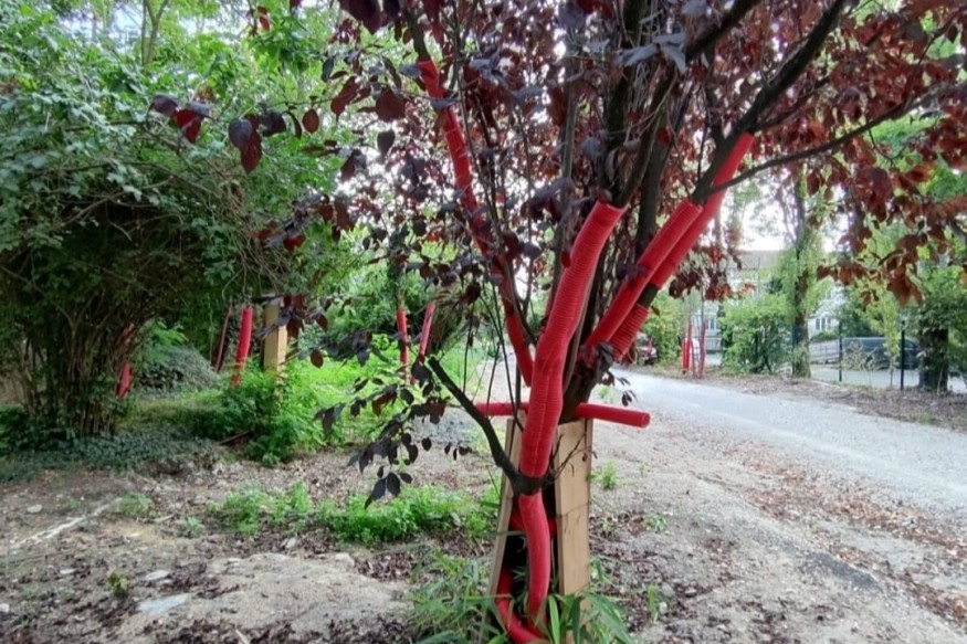 Sous le béton, la nature étouffe : Bezons tourne le dos à l’écologie
