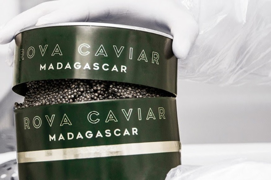 MADAGASCAR : Le premier producteur de caviar de Madagascar transforme l'industrie alimentaire de luxe