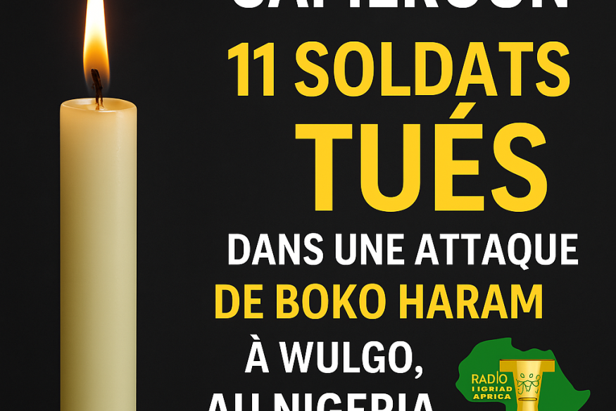Cameroun : 11 soldats tués dans une attaque de Boko Haram à Wulgo, au Nigeria