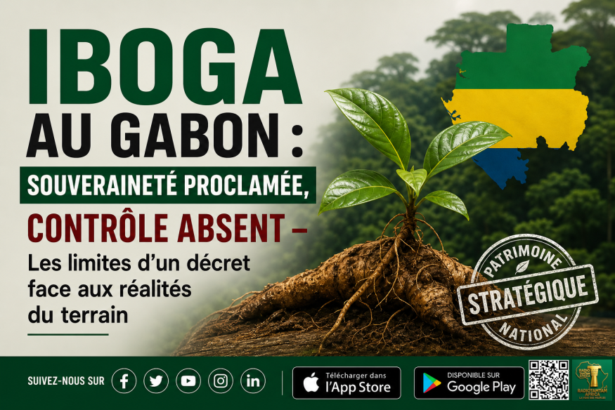 Iboga au Gabon : souveraineté proclamée, contrôle absent