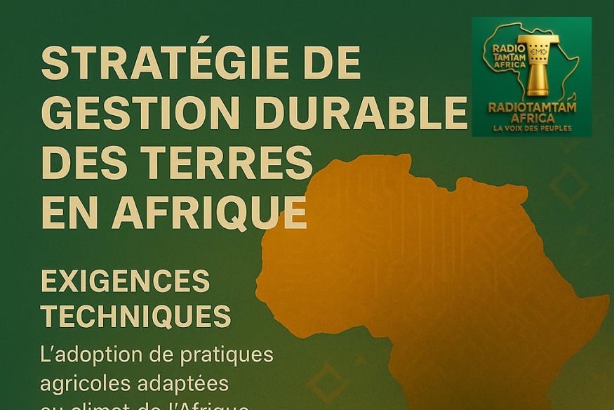 Comment bâtir une stratégie de gestion durable des terres en Afrique
