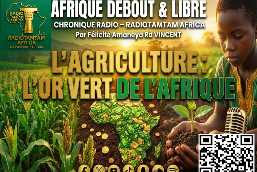 Afrique : quand la jeunesse redonne sens à l’agriculture