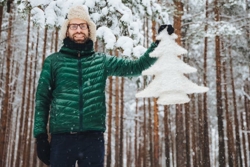 Podcast : Mon beau sapin, roi des forêts (et du co