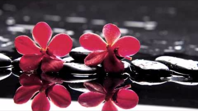 #Musique pour l'Etude: Musique pour étudier, augmenter la concentration,Best Music for Studying